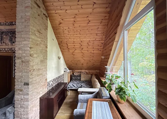 伊玛塔度假别墅 * 里加